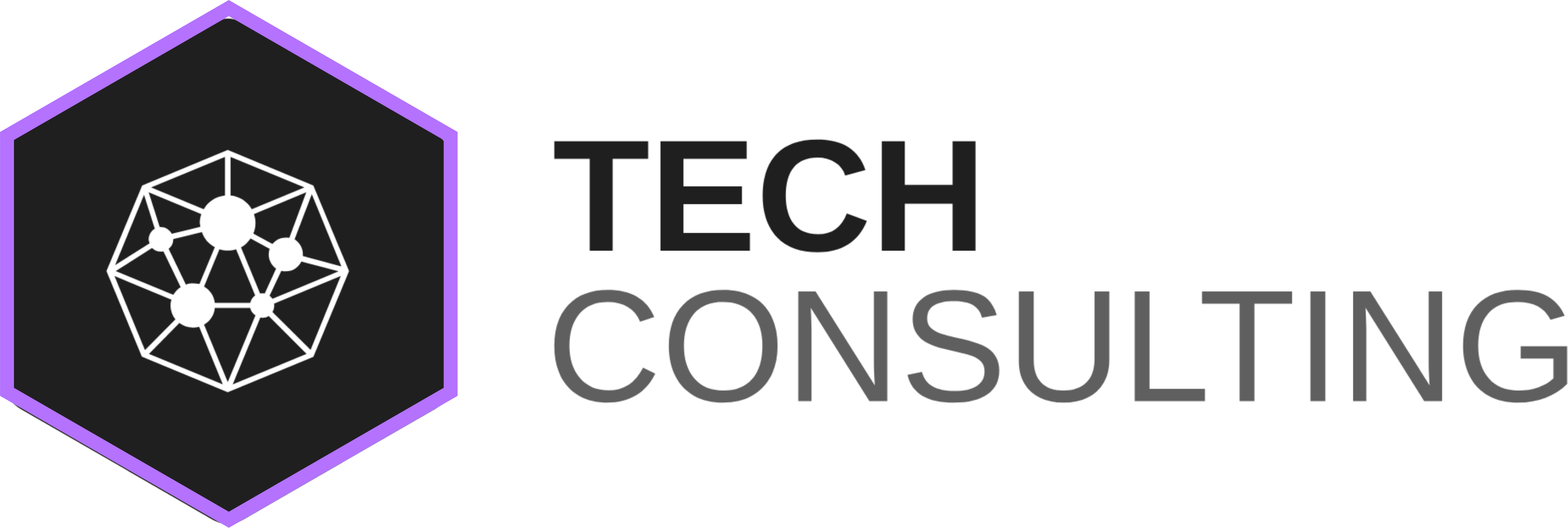 Tech Consulting